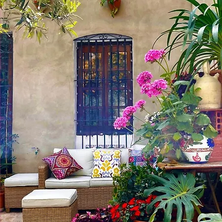 Courtyard Guest house Oliva